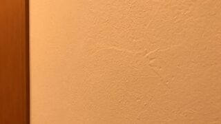 珪藻土の写真