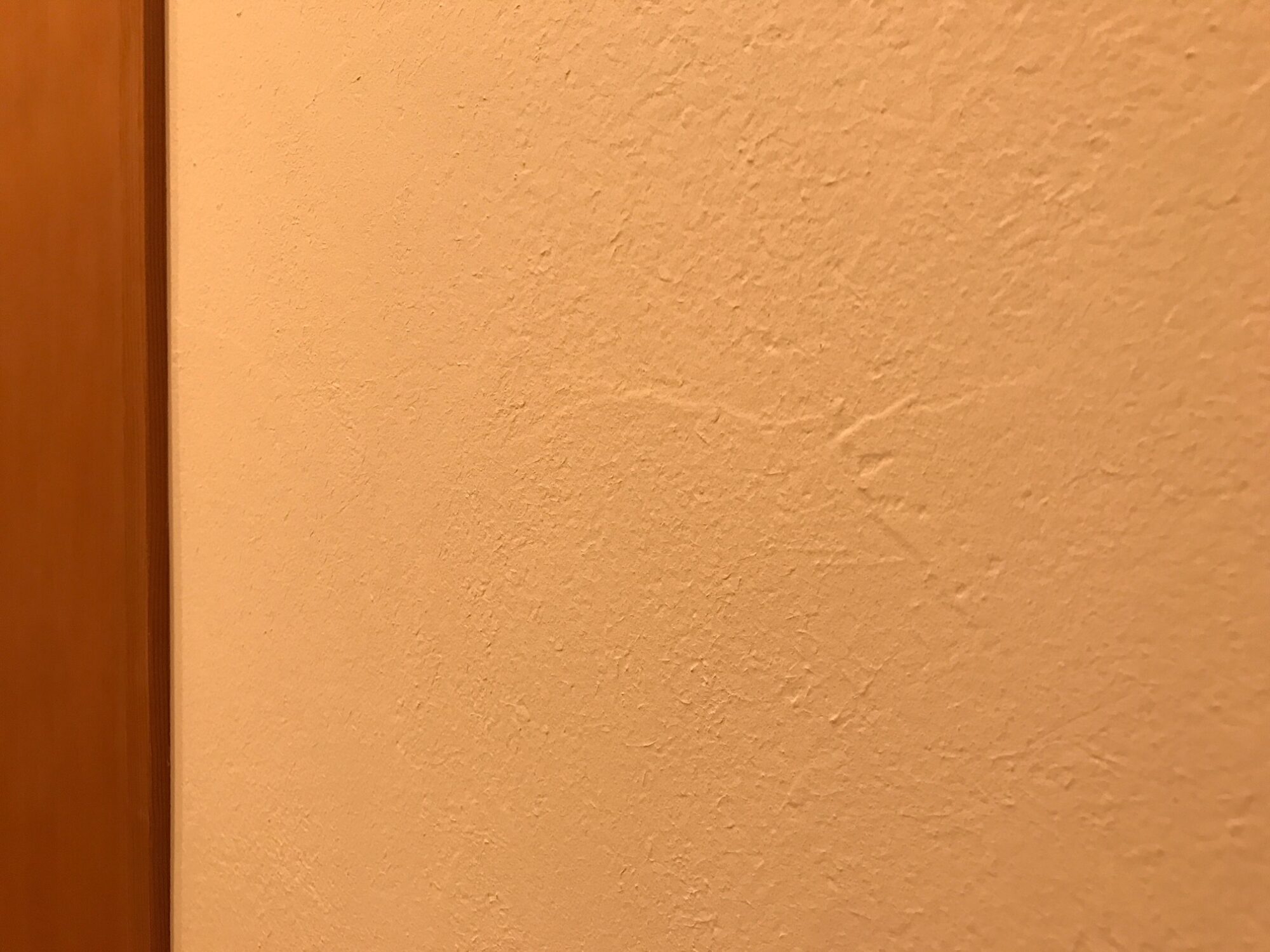 平屋の実例 珪藻土塗りの内壁 調湿効果アリ ヒラヤスタイル