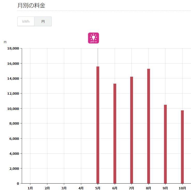 2019年の電気代金グラフ