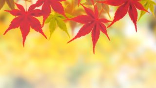 電気代2019年11月