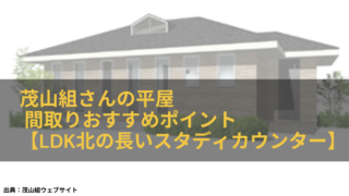 茂山組さんの平屋 間取りおすすめポイント【LDK北の長いスタディカウンター】